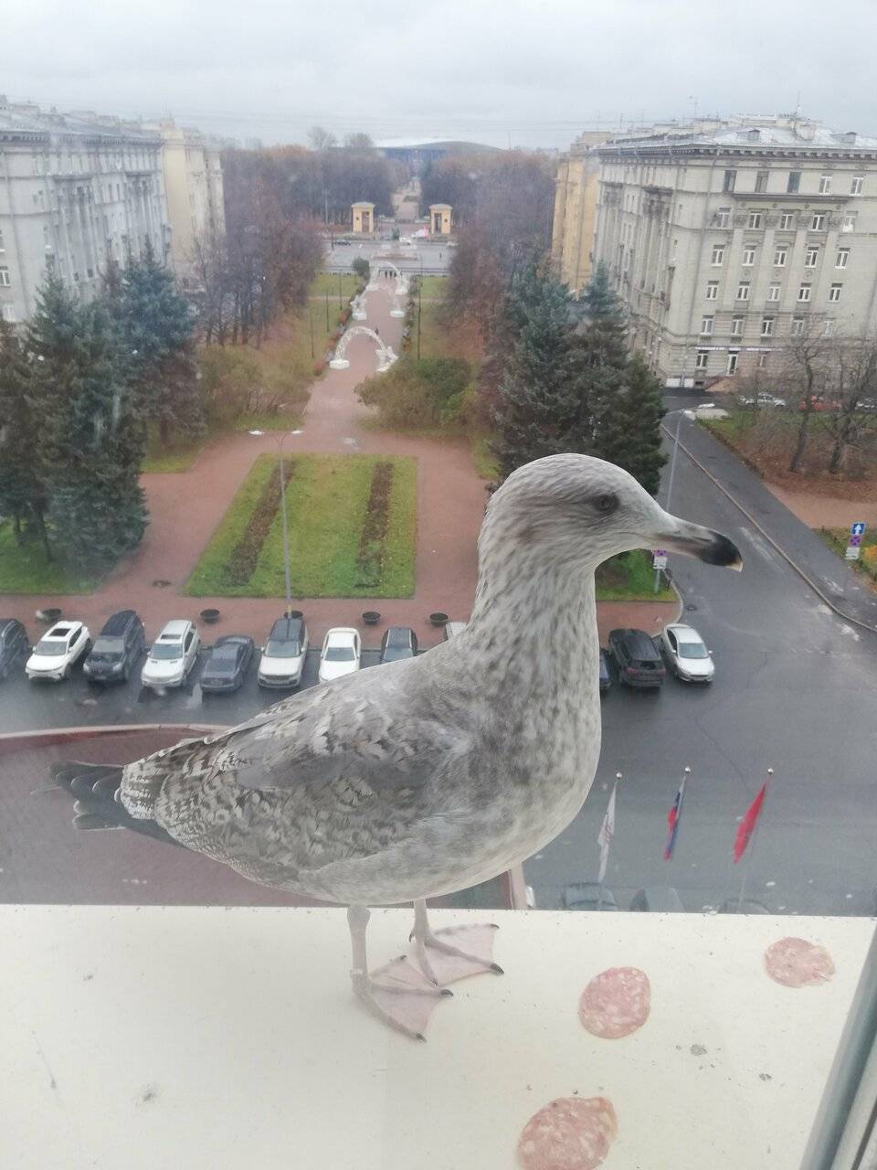 Фото Гостиницы Россия Санкт-Петербург 249