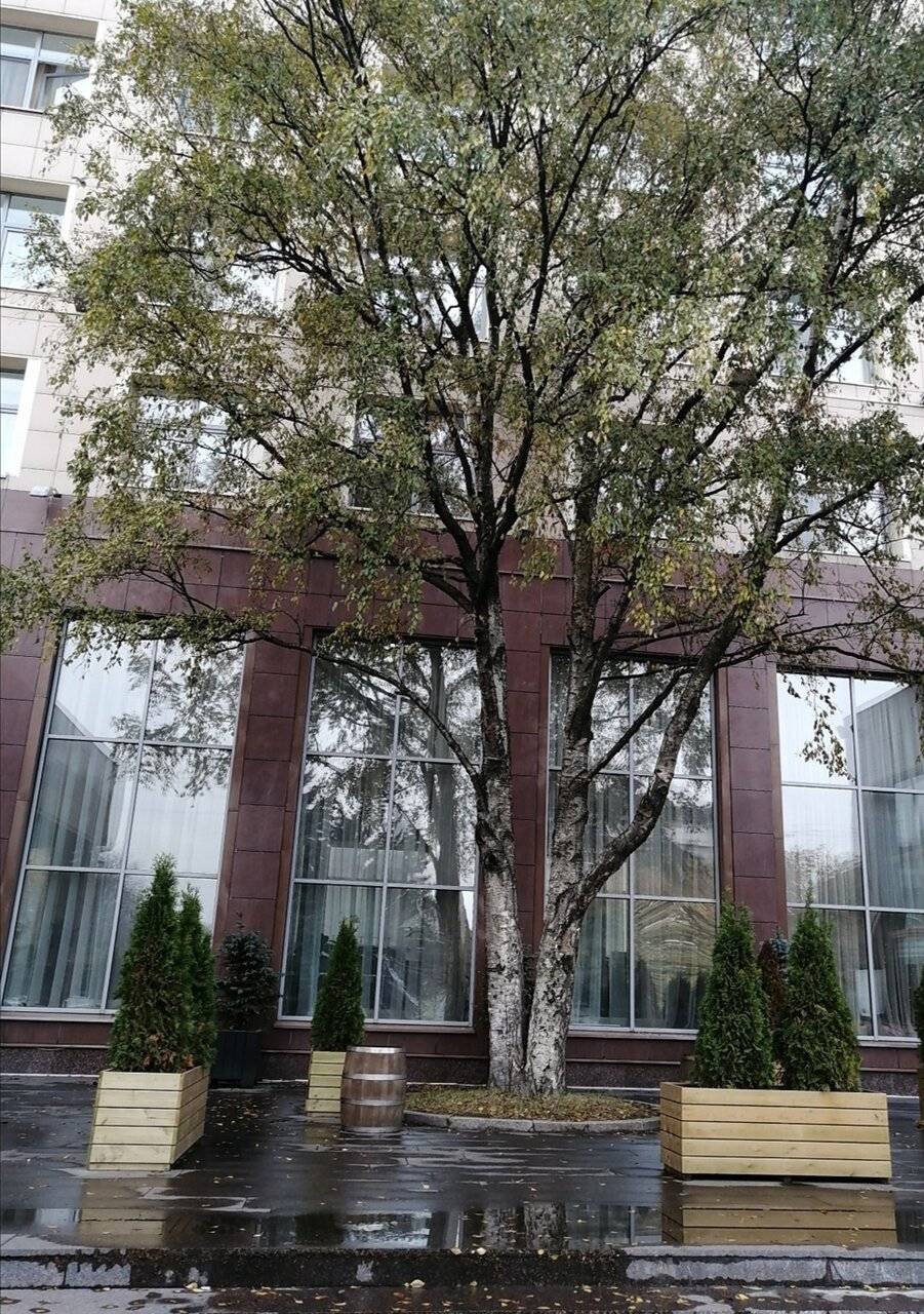 Фото Гостиницы Россия Санкт-Петербург 207