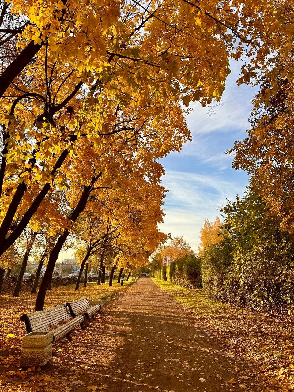 Фото Гостиницы Россия Санкт-Петербург 241