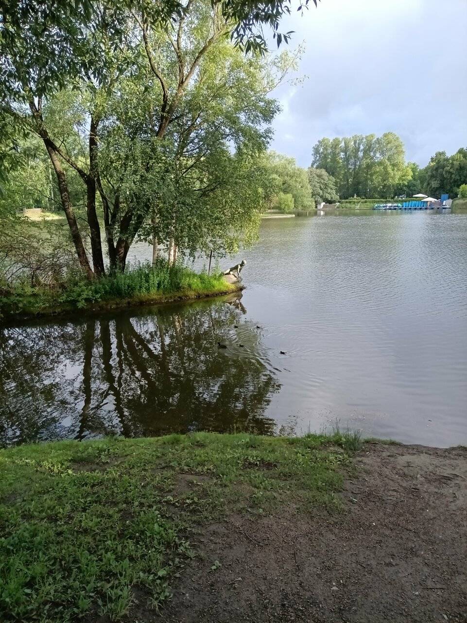 Фото Гостиницы Россия Санкт-Петербург 231